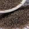 MIYUKI Round Rocailles Beads SEED-JP0010-RR2195-1
