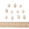 Natural Cowrie Shell Beads BSHE-CJ0002-01-2