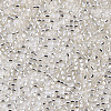 Glass Seed Beads SEED-S042-04A-06-3