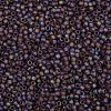 TOHO 8/0 Round Beads SEED-TR08-0166BF-2