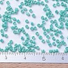 MIYUKI Delica Beads X-SEED-J020-DB0166-4