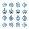 Platinum Plated Alloy Enamel Charms X-ENAM-S118-04G-P-2