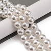 Baking Paint Pearlized Glass Pearl Round Bead Strands X-PEAR-H019-02E-04-2