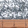 MIYUKI Delica Beads SEED-MY11-DB2166-4