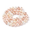 Shell Pearl Bead Strands BSHE-L017-11-2