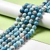 Natural Gemstone Beads Strands G-F730-02C-2