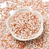 Baking Paint Glass Seed Beads X1-SEED-F006-01A-10-2