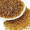 6/0 Baking Paint Transparent Fringe Glass Seed Beads SEED-N006-06C-1