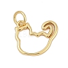 Brass Charms KK-S527-19G-1