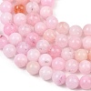 Natural Imitation Pink Opal Beads Strands G-G992-A03-6