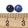 Natural Lapis Lazuli Cabochons G-Q173-01B-11-3