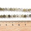 Natural Labradorite Bead Strands G-O155-05B-4mm-7