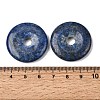 Natural Lapis Lazuli Pendants G-A320-01A-14-3