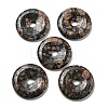 Natural Glaucophane Pendants G-P532-01A-05-1