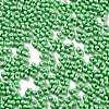 Opaque Colours Glass Seed Beads SEED-A033-06O-3