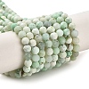 Natural Green Opal Beads Strands G-Z035-A02-03C-1