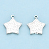 925 Sterling Silver Charms STER-T006-17S-2