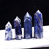 Point Tower Natural Sodalite Home Display Decoration PW-WG54681-04-1