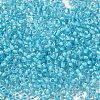 6/0 Transparent Glass Seed Beads SEED-F003-03A-10-3