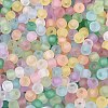 FGB Frosted Transparent Glass Seed Beads SEED-N013-02A-3