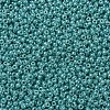 MIYUKI Round Rocailles Beads X-SEED-G007-RR0435-3