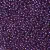 TOHO Round Seed Beads SEED-JPTR08-0928-2