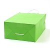 Pure Color Kraft Paper Bags LS-AJEW-G020-C-05-3