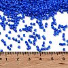 Baking Paint Glass Seed Beads X-SEED-S042-05B-77-4