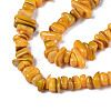Natural Trochid Shell/Trochus Shell Beads Strands SHEL-S258-080-B02-3