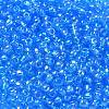 TOHO 6/0 Round Beads SEED-XTR06-0163B-3