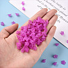 Transparent Acrylic Beads PL554-17-6