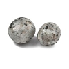 Natural Sesame Jasper Beads G-G348-01B-03-2