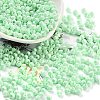 Baking Paint Glass Seed Beads SEED-A032-02R-1