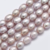 Natural Cultured Freshwater Pearl Beads Strands PEAR-F007-71B-1