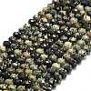 Natural African Turquoise(Jasper) Beads Strands G-P573-A28-01-2