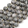 Natural Map Stone Beads Strands G-C249-A05-16mm-3