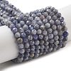 Natural Tanzanite Beads Strands G-G161-A14-03-1
