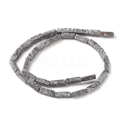 Natural Map Stone/Picasso Stone/Picasso Jasper Beads Strands X-G-G837-05-1