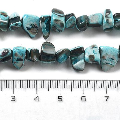 Dyed Natural Trochus Shell Beads Strands BSHE-Z006-01E-1