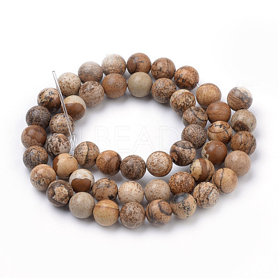 Natural Picture Jasper Beads Strands X-G-S259-27-10mm-1