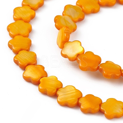 Natural Freshwater Shell Dyed Beads Strands SHEL-K001-001H-1