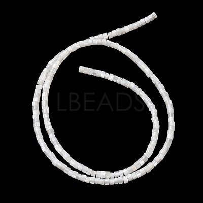 Natural Freshwater Shell Beads Strands X-SHEL-K006-72C-1