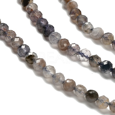 Natural Iolite Beads Strands G-RM2025-22-3mm-1