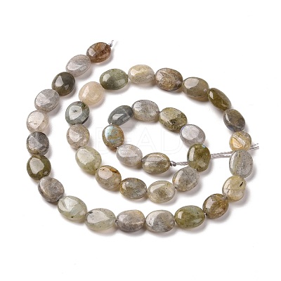 Natural Labradorite Beads Strands G-C238-37-1