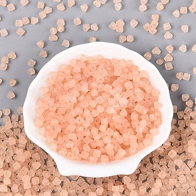 FGB Frosted Transparent Glass Seed Beads SEED-N013-03A-03-1