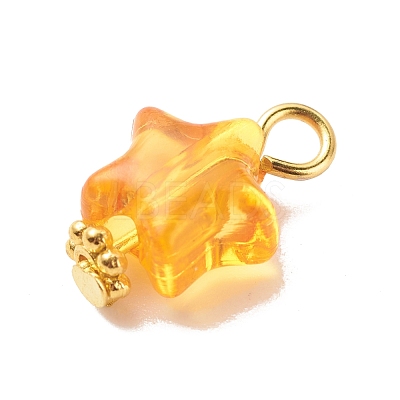 Transparent Acrylic Pendants PALLOY-JF01834-03-1