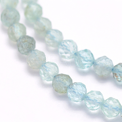 Natural Apatite Beads Strands G-I156-05-A-1