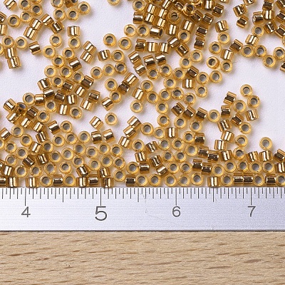 MIYUKI Delica Beads SEED-MY11-DB0181-1