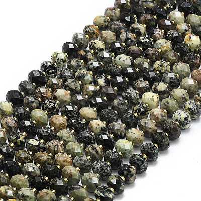 Natural African Turquoise(Jasper) Beads Strands G-P573-A28-01-1