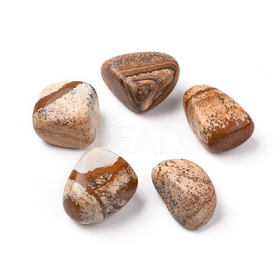 Natural Picture Jasper Beads G-K302-A13-1